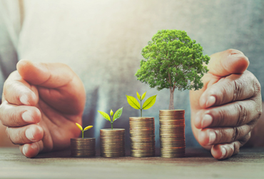 Investments & Insurance